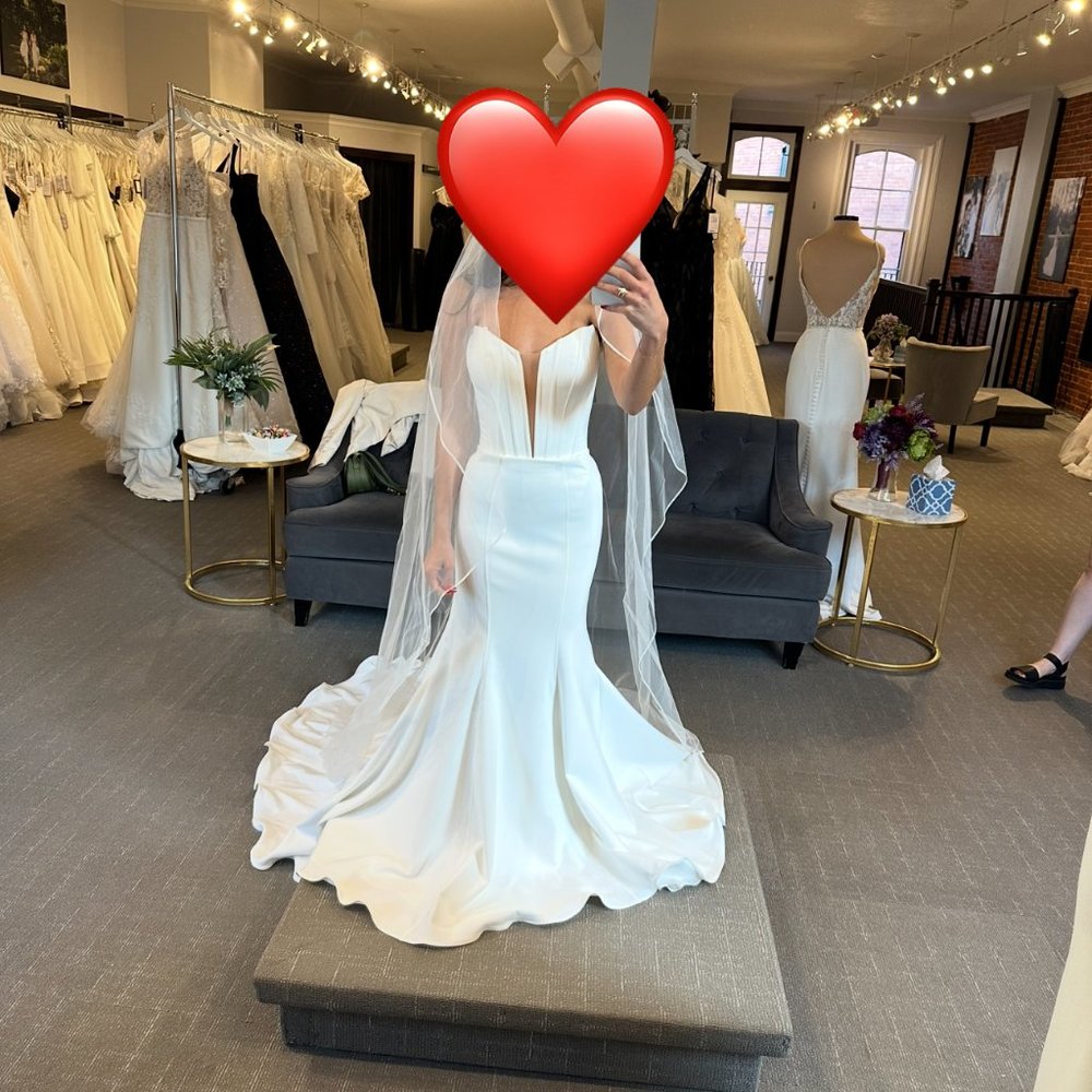 NWT Joelle Olivia Wedding Dress (Size 2) + Matching Veil!